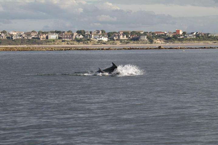Firthview Cottage Lossiemouth Zewnętrze zdjęcie